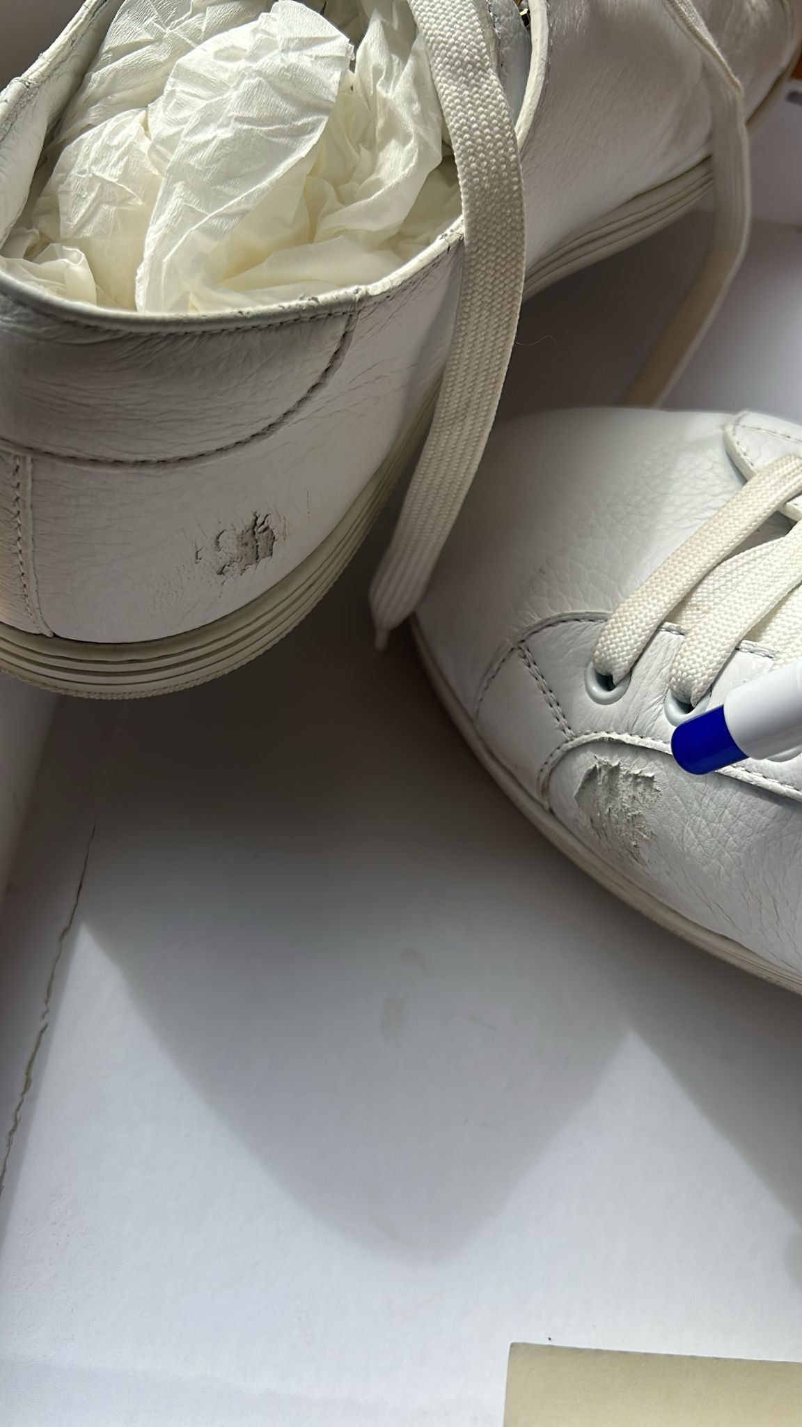 White Low Top Men Saint Tropez Sneakers Shoes
